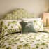 Sanderson Fig Harvest Green thumb 2