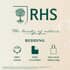 RHS Art Deco Hydrangea Soft Green thumb 5