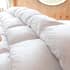 Fine Bedding Co Goose Down thumb 1