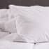 TLC 5 Star Softened Duck Feather Pillow thumb 5