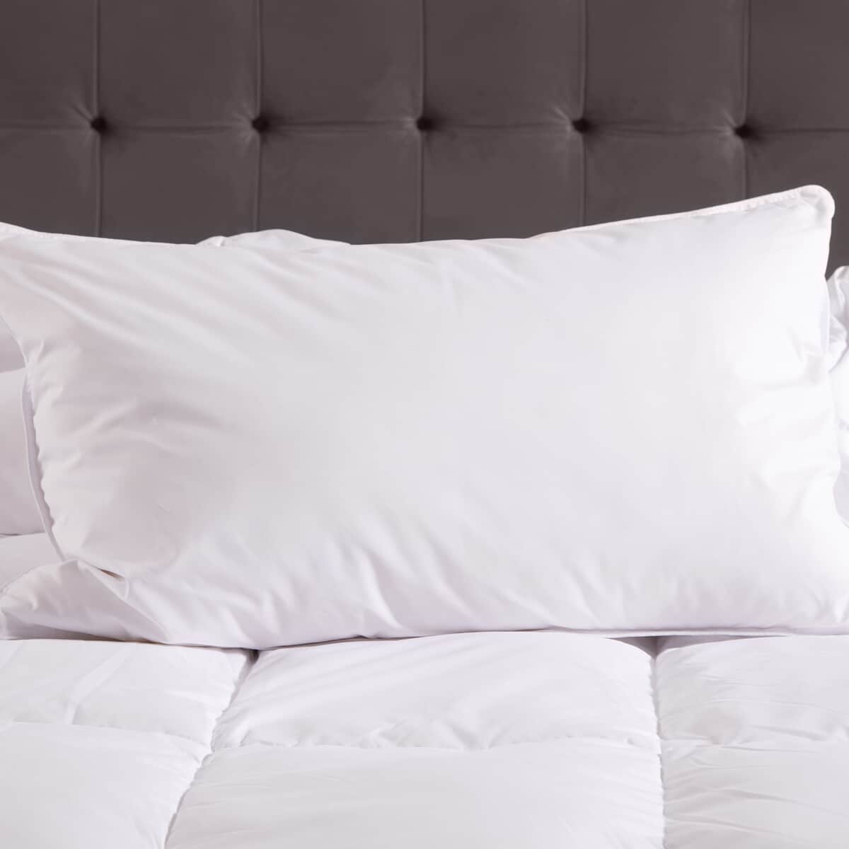 TLC 5 Star Softened Duck Feather Pillow large