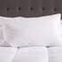 TLC 5 Star Softened Duck Feather Pillow thumb