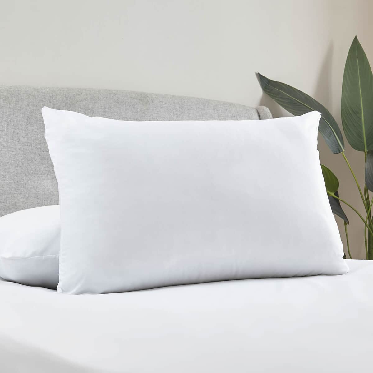 Catherine Lansfield Soft Touch Microfibre Pillow Pair large