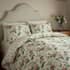 Sanderson Elouise Parchment and Rose thumb 1