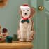 Catherine Lansfield Christmas Dogs Red Cushion thumb