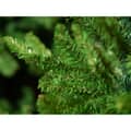 Kaemingk Everlands Liberty Spruce 1.5m/ 5ft - additional image