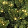 Kaemingk Everlands Artificial Liberty Spruce Prelit Tree 7ft - additional image