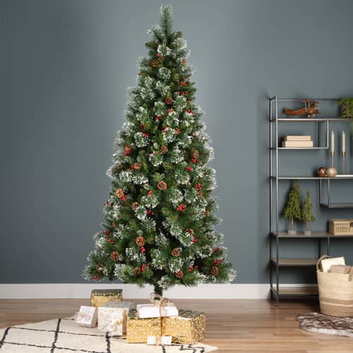 Kaemingk Everlands  Ipswich Snowy PineTree 1.8m/ 6ft